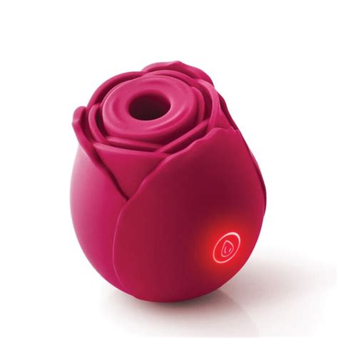 Discover the 10 Best Rose Sex Toys for Unique Sensations